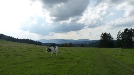 En direction du Relais du Mont du Dar