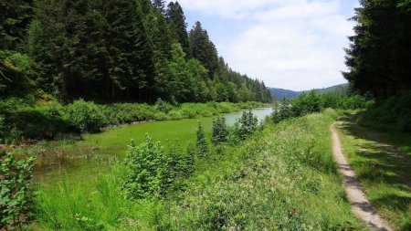 Le lac de retenue bien vert.