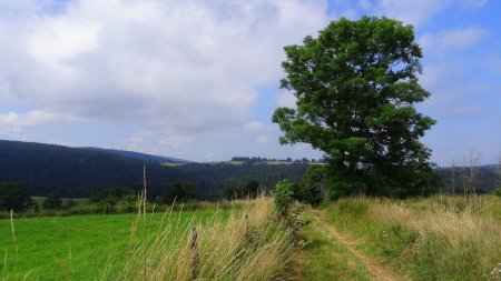 Fin du plateau, avant la descente.