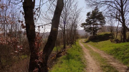 Prendre le chemin qui passe devant la croix.