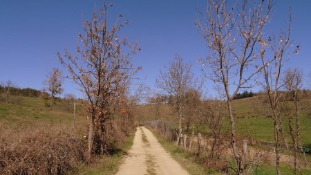 Remontée vers la ligne de crête.