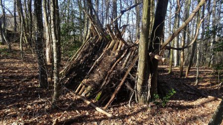 Dans le Bois du Gas