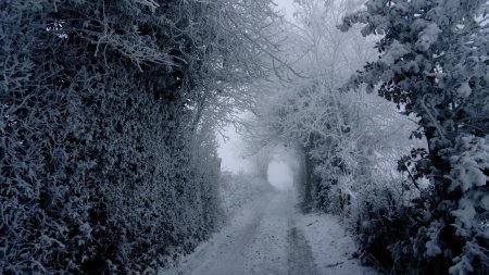 Tunnel.