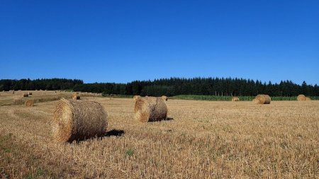 Sur le plateau, du côté du Rivollier, après les moissons