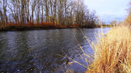 La Loire.