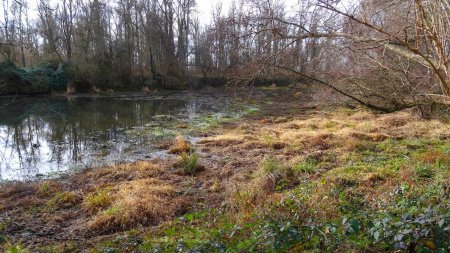 Ancienne gravière.