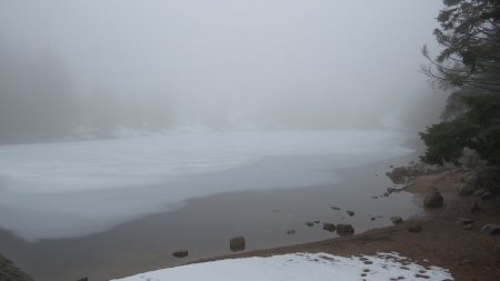 Le Lac du Forlet sous la glace et le brouillard, vu depuis sa plage. Le lac est très beau en été et en automne, avec la belle crête du Gazon de Faîte derrière. Mais il là, il est sympa aussi !