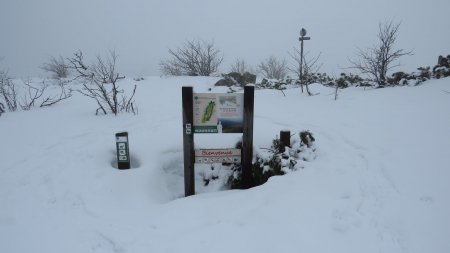 L’entrée dans la Réserve Naturelle Tanet-Gazon-du-Faing, juste avant le Soultzeren Eck, point culminant du Gazon du Faing (panneau à droite au 2ème plan sur la photo).