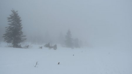 En chemin vers le col entre le Soultzeren Eck et l’Altenkraehkopf. A l’aller, le brouillard n’était pas aussi épais sur cette portion. En voyant les poteaux qui émergent si peu, j’ai l’impression d’être un géant !