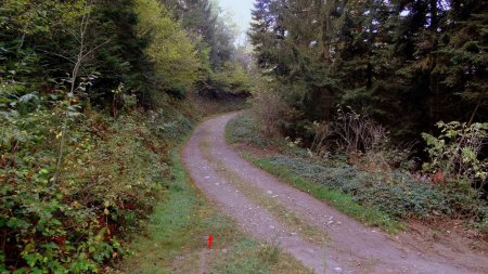 Jonction avec une piste forestière.