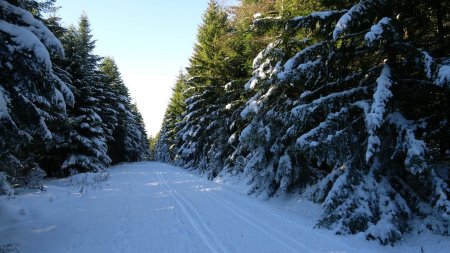 Sur les pistes désertées par les skieurs.