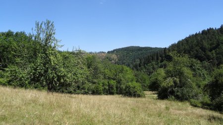 Avant de redescendre dans les gorges.