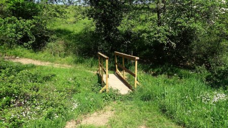 Passerelle sur le Coup.