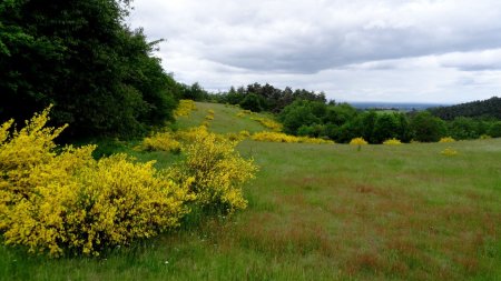 Sur le plateau et sans soleil