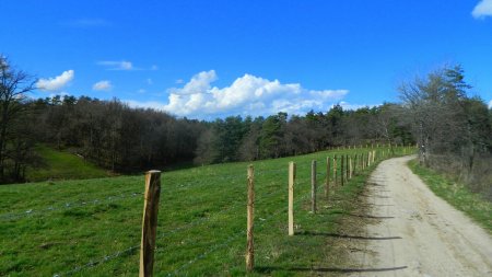 Descente par la variante courte