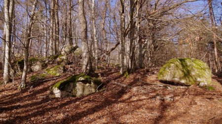 Nombreux amas rocheux dans ces bois.