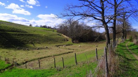 Combe de Gourny