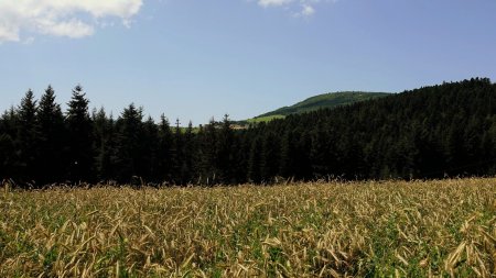 Vers le col de Chaubouret et le Bois Grézé