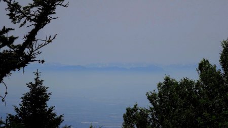 Vue partielle et brumeuse.