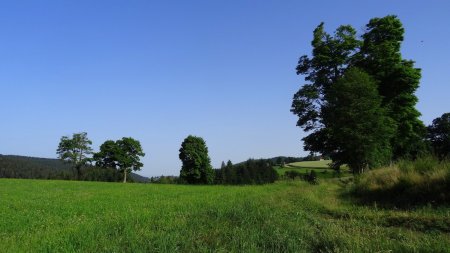 Paysage ouverts dans la 1re partie.