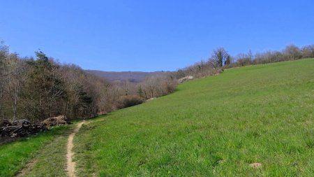 Prairies du ravin du Bozançon.