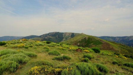 Serre de la Pierre Plantée.