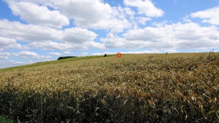 Il y a quelqu’un entre les 2 parcelles agricoles