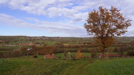 Vallée de la Brévenne.