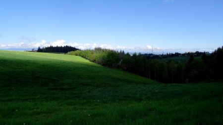 Ombre et soleil sur le Plateau