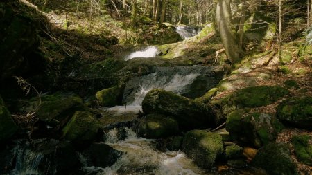 Les cascades du saut du Diable.