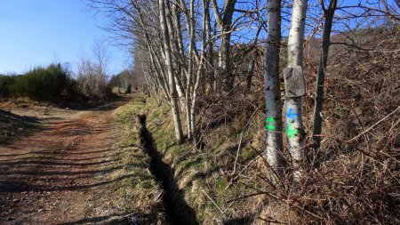 Chemin après avoir quitté la Route de Fortunières.