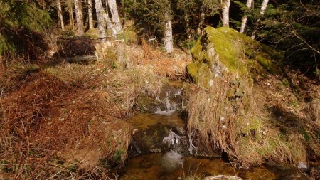 Arborétum de l’Écluse du Moulin.