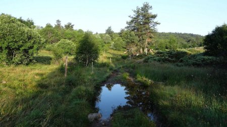 Ruisseau du Grand Genêt.