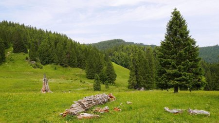 Sur le sentier, entre Herzogenhorn et Spießhorn.