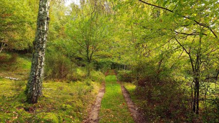 Sur le chemin du retour, entre Rod et Langenbrand.