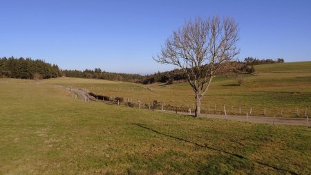 Vallon vers la Pauze.