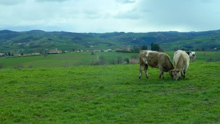 Le passage par le château de Pluvy, au centre, sera pour une autre fois