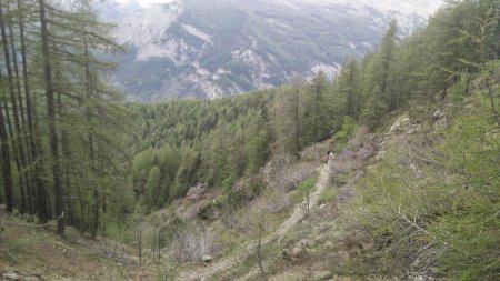 Dans les seuls lacets de la rando...