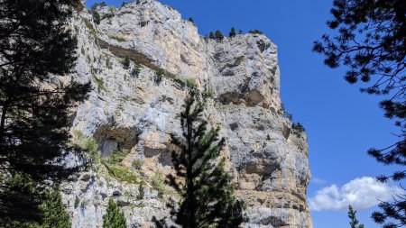 Falaises, fin de la vire médiane et vire supérieure...