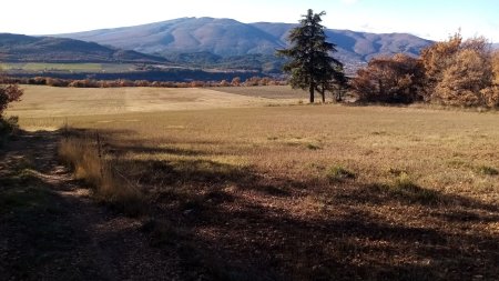 Montagne de Lure (rive droite de la Durance)