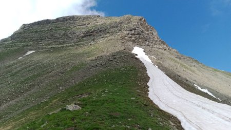 Au début c’est herbeux