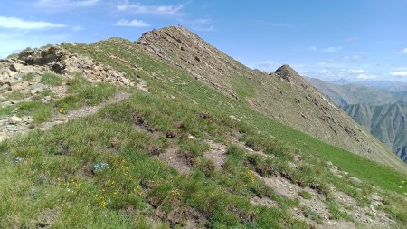 Descente côté sud de la crête sommitale