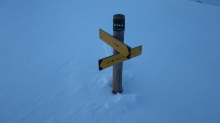 Le col, juste à temps pour.............