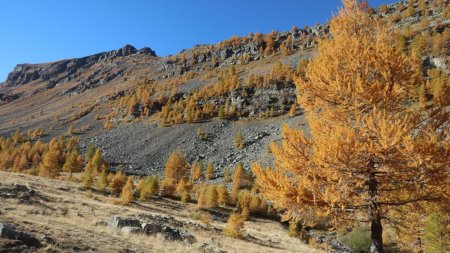 Plus haut dans le vallon