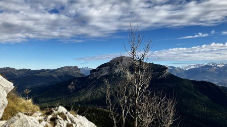 Chamechaude avec la Dent de Crolles et Belledonne en arrière-plan, depuis le sommet de la Pinéa