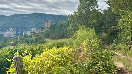 Vue rétro : vergers et château de Peyrelade