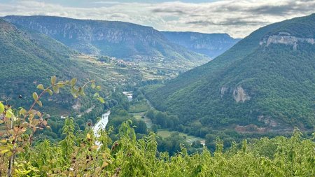 Vue sur les gorges du Tarn