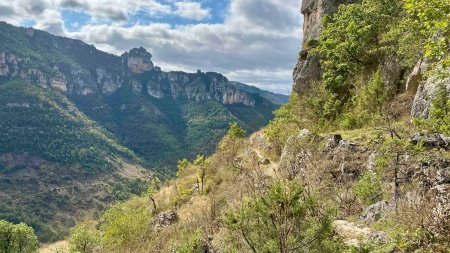 Vue sur les gorges du Tarn et le sentier