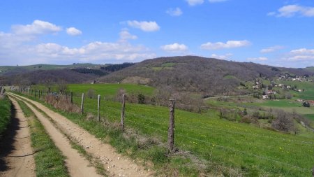 Vers la Pierre-de-la-Bauche et le mont Morin.