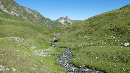 Montée dans le vallon